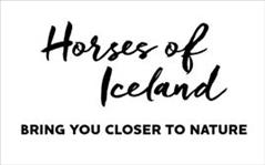 Horses of Iceland program at Landsmót