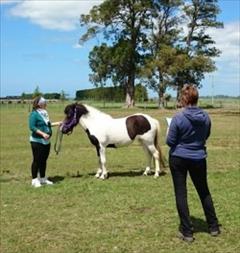 Seminars in New Zealand