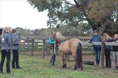 First breeding seminar in Australia