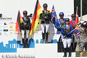 V1 – Four Gait World Champion 2019 Young Riders