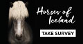 Horses of Iceland – survey deadline June 30, 2017
