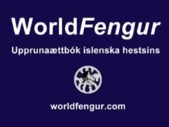 Landsmot videos in WorldFengur