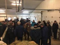 Breeding Judges Seminar 2018