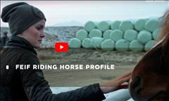 Riding Horse Profiles – video and forms