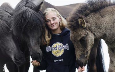 Horses of Iceland report on the July 2019 YouthCamp