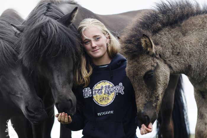 Horses of Iceland report on the July 2019 YouthCamp