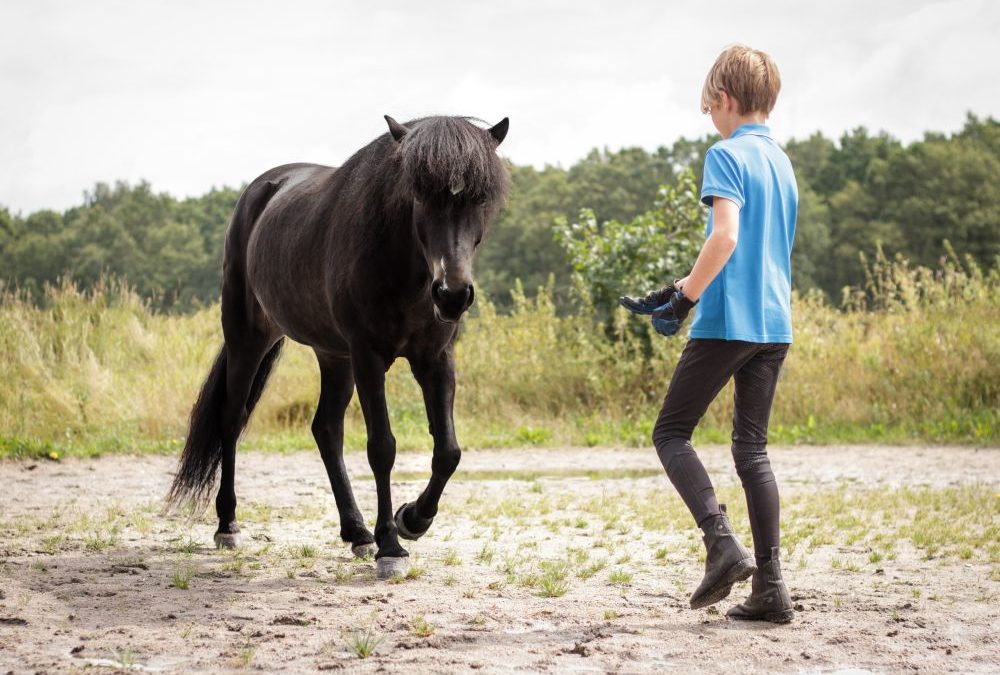 Live reading ‘The Little Viking Horse’