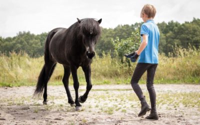 Live reading ‘The Little Viking Horse’