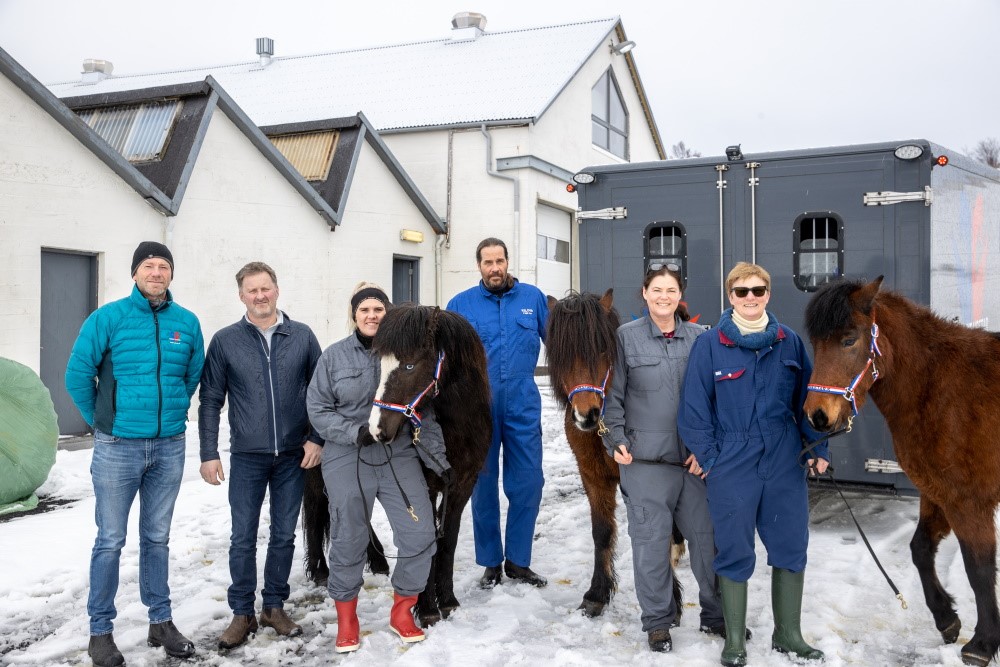 Horses vaccinated against summer eczema