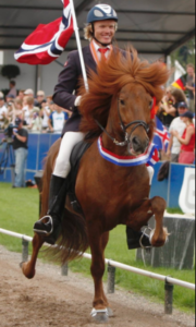Stian Pedersen