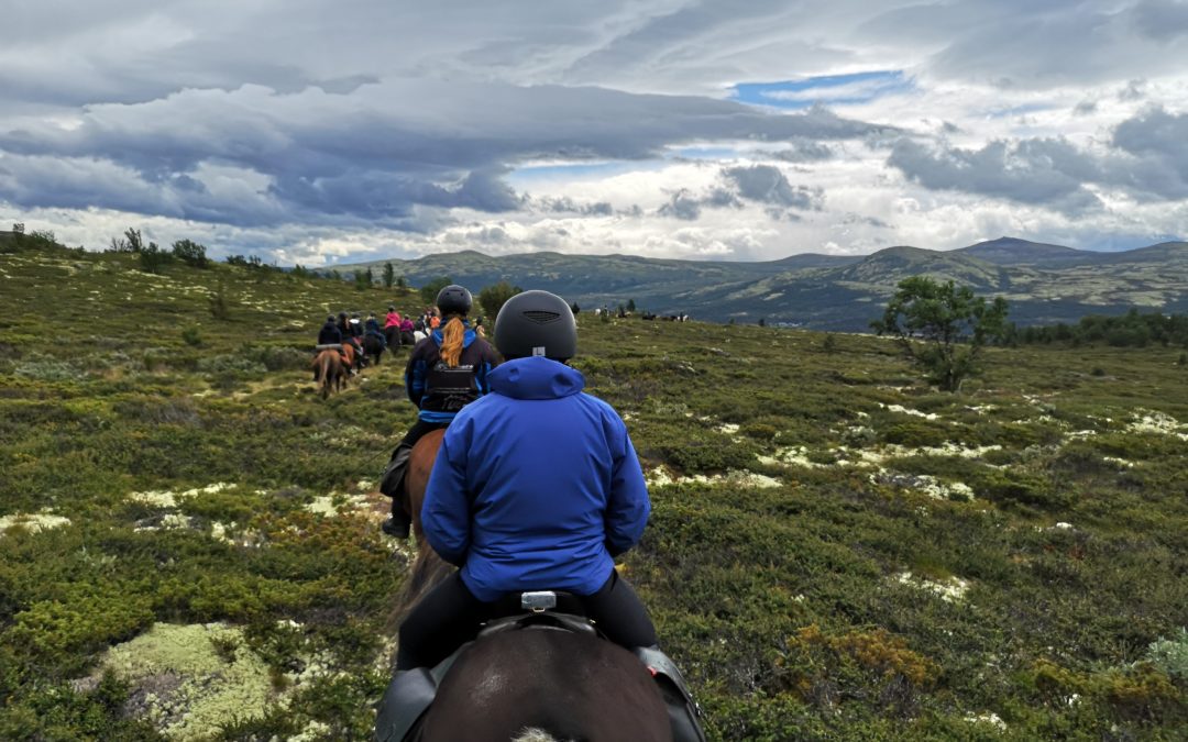 Day two at the “Fjellfestival med islandshest” in Norway