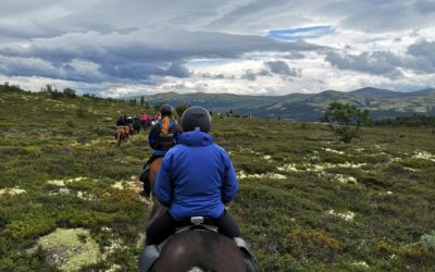 Day two at the “Fjellfestival med islandshest” in Norway