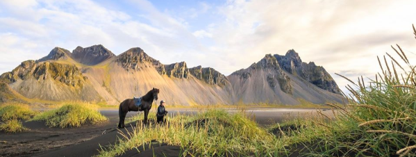 Day of the Icelandic Horse – Photo Contest