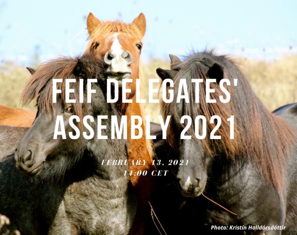 FEIF Delegates‘ Assembly 2021