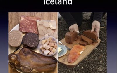 FEIF online seminar ‘Why Iceland?’