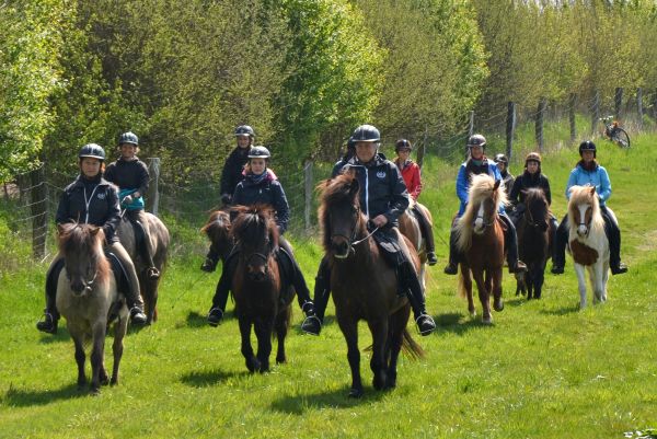 Riding into the summer with the FEIF Tour Rider Cup