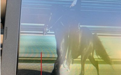 New World Record in P1 (250m Pace Race)