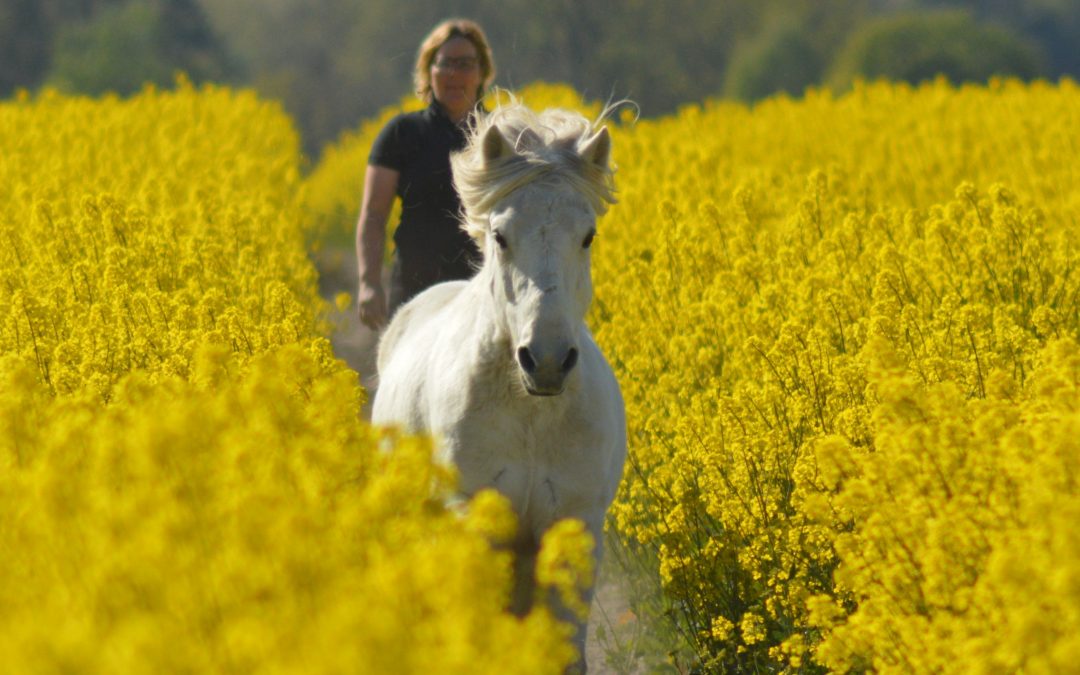 The photo competition starts into the next season