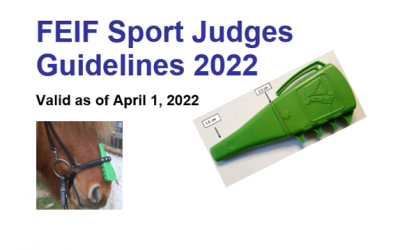 Sport Judges Guidelines 2022