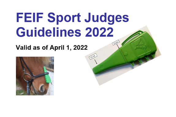 Sport Judges Guidelines 2022