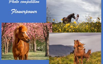 Photo Competition –  FLOWERPOWER voting ended