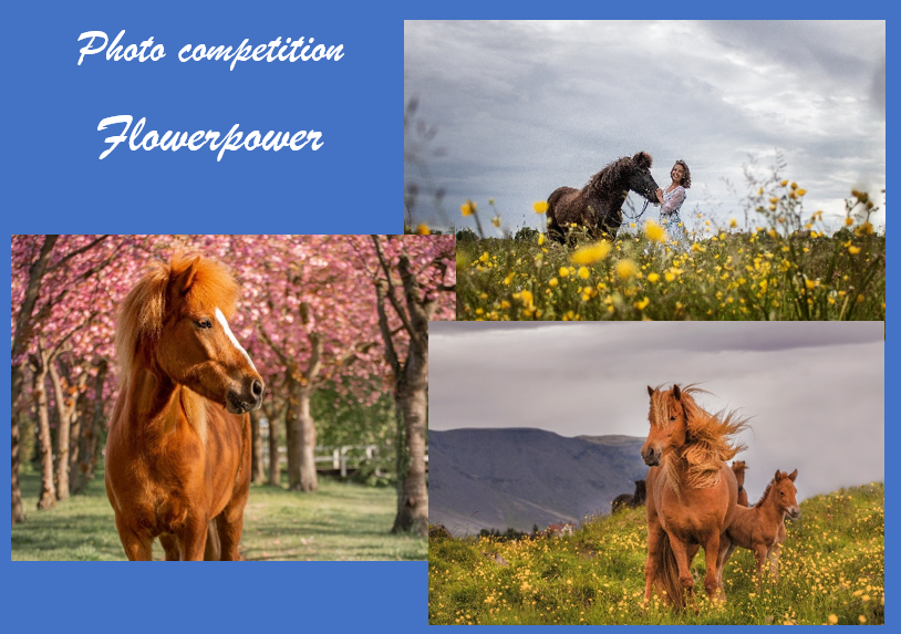 Photo Competition –  FLOWERPOWER voting ended