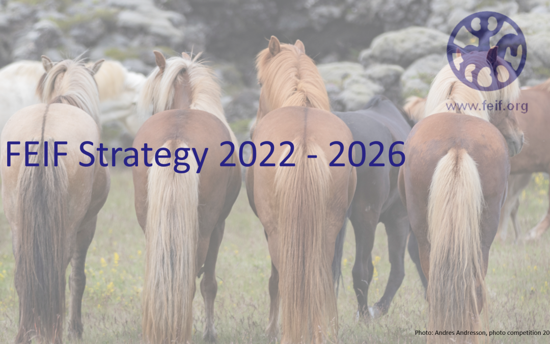 FEIF Strategy 2022 – 2026