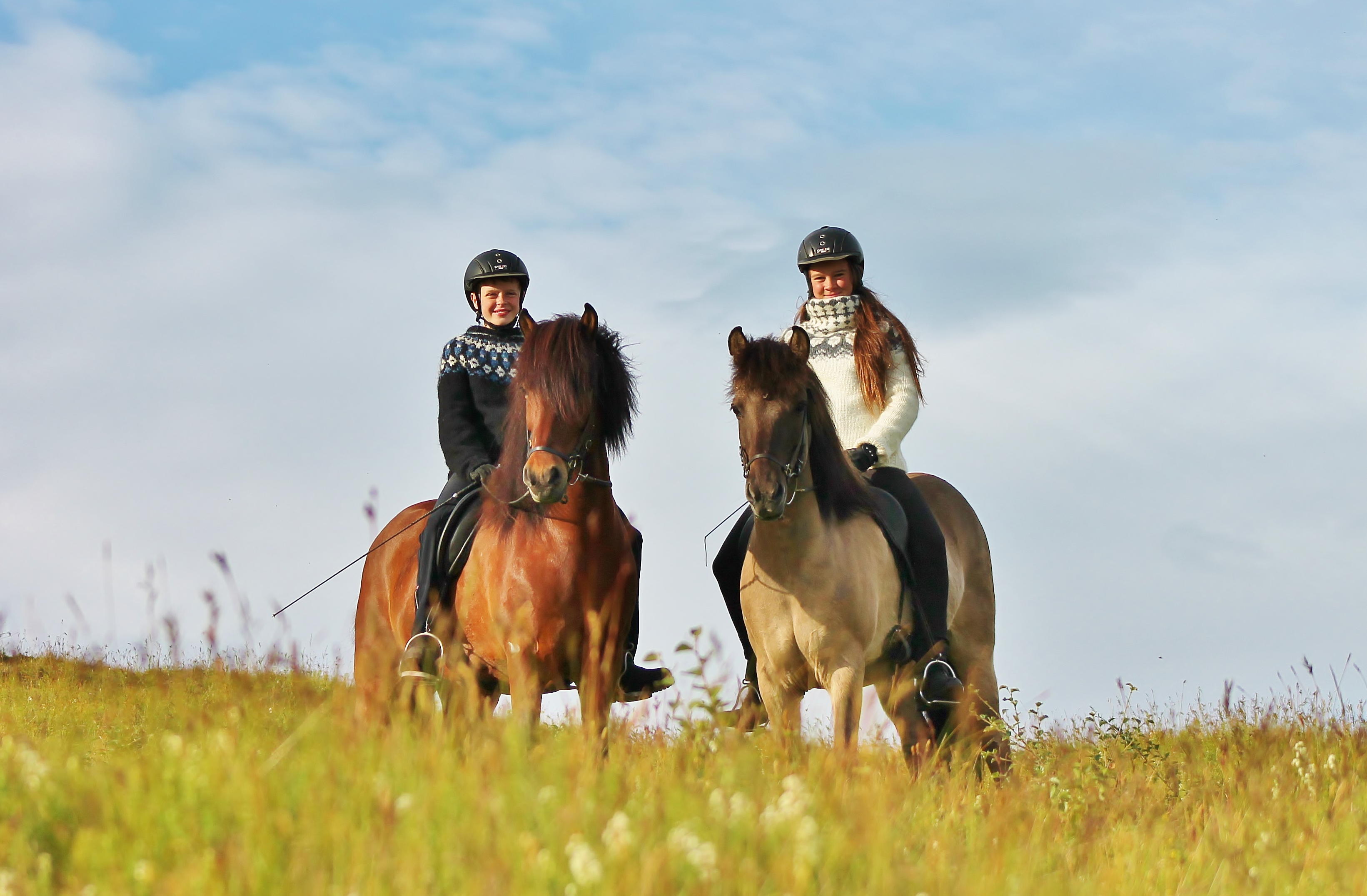 Riding in Harmony – Photo competition