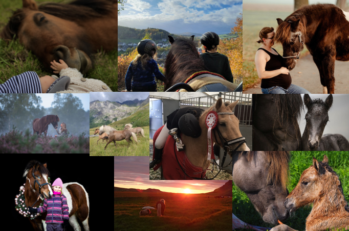 Photo Competition 2023 „Special Moments“ – Vote now!