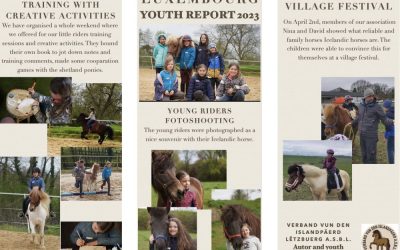 FEIF Youth Country of the Year Award for 2023