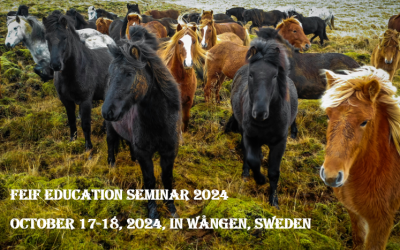 Last chance to register – FEIF Education Seminar 2024