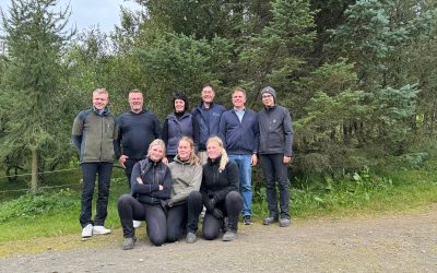 Research on the recovery phase of Icelandic horses after a 250m pace race