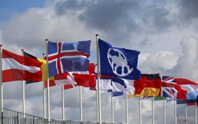 19 FEIF member associations registered to the World Championships 2025!