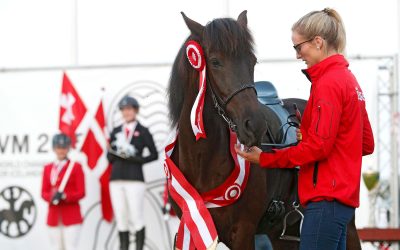 Update: Icelandic Horse World Championships  2025 in Switzerland
