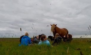 FEIF Youth Camp 2025 in Iceland