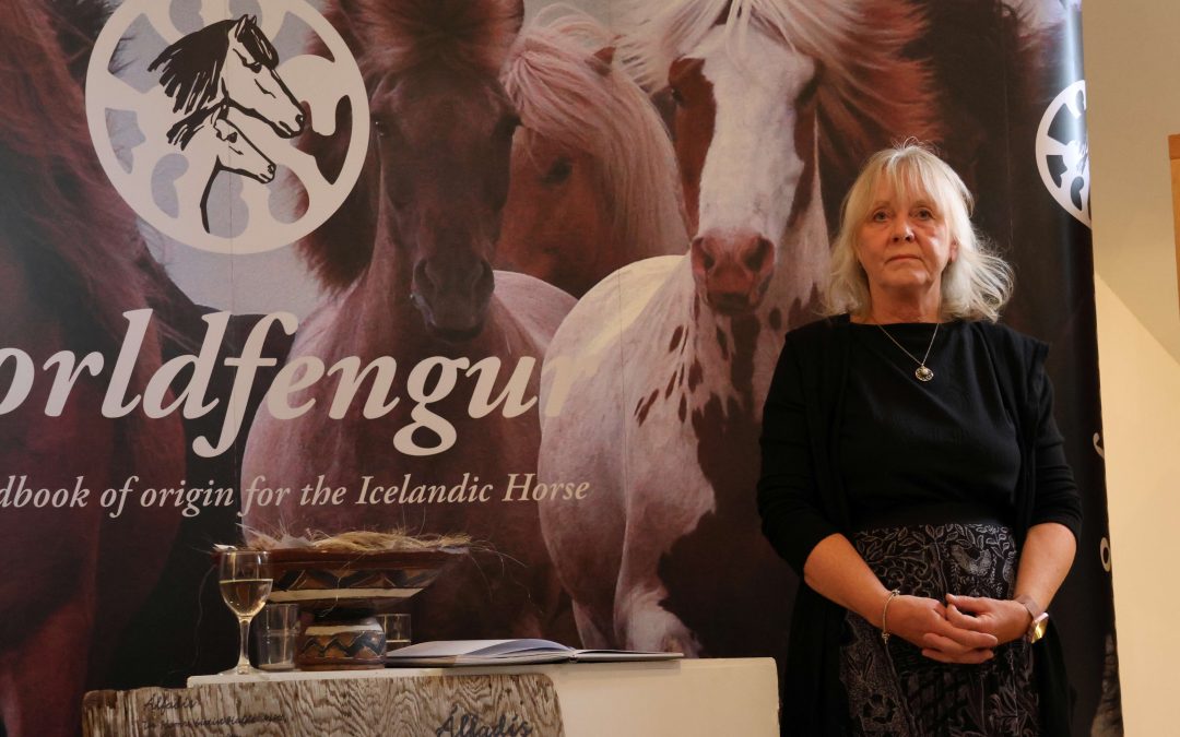 The Icelandic Horse History Centre opens its doors again this summer