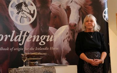The Icelandic Horse History Centre opens its doors again this summer