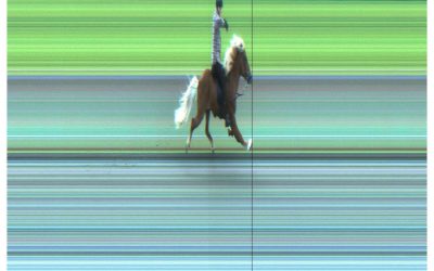 It’s official – NEW WORLDRECORD in P1 250m pace race