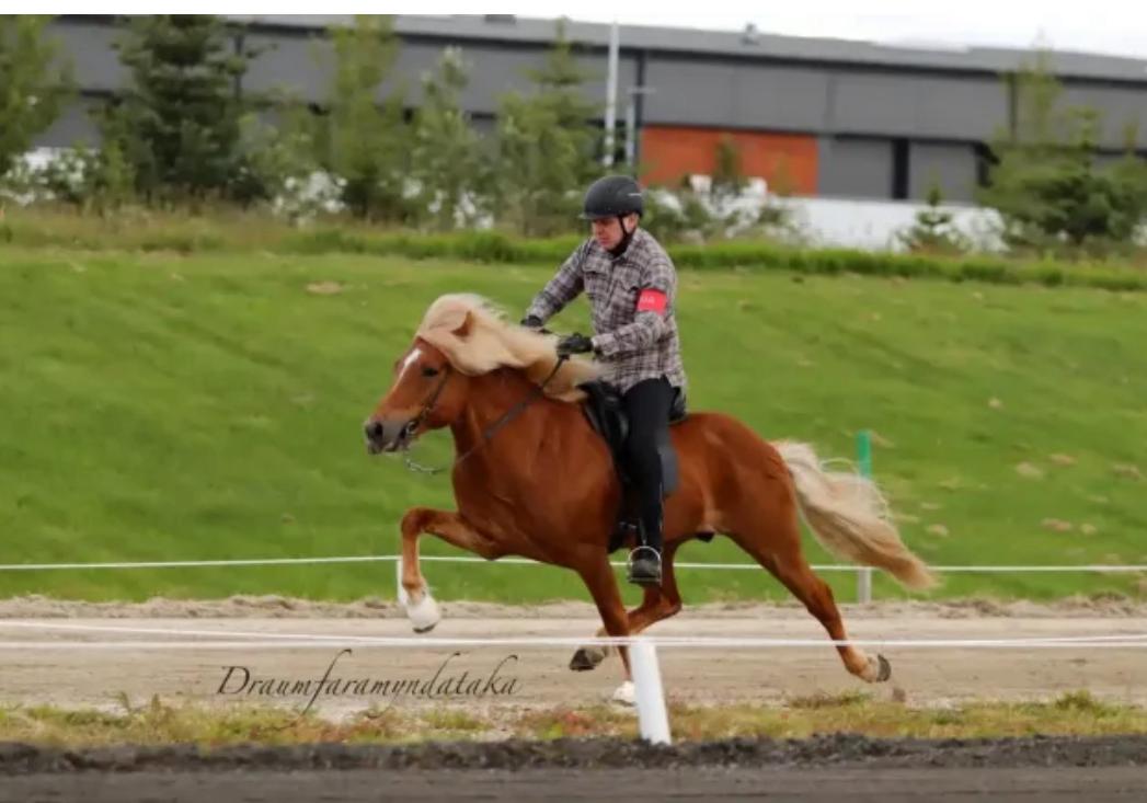 WhatsApp Image 2025-07-13 at 06.47.09_f364223e