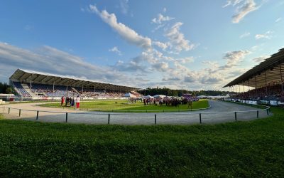 WC 2025: Spectacular PP1 Pace Test, Top Breeding Classes, and a Heartwarming Opening Ceremony
