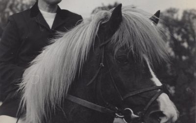 The Icelandic Horse World Says Goodbye to Ullu Becker