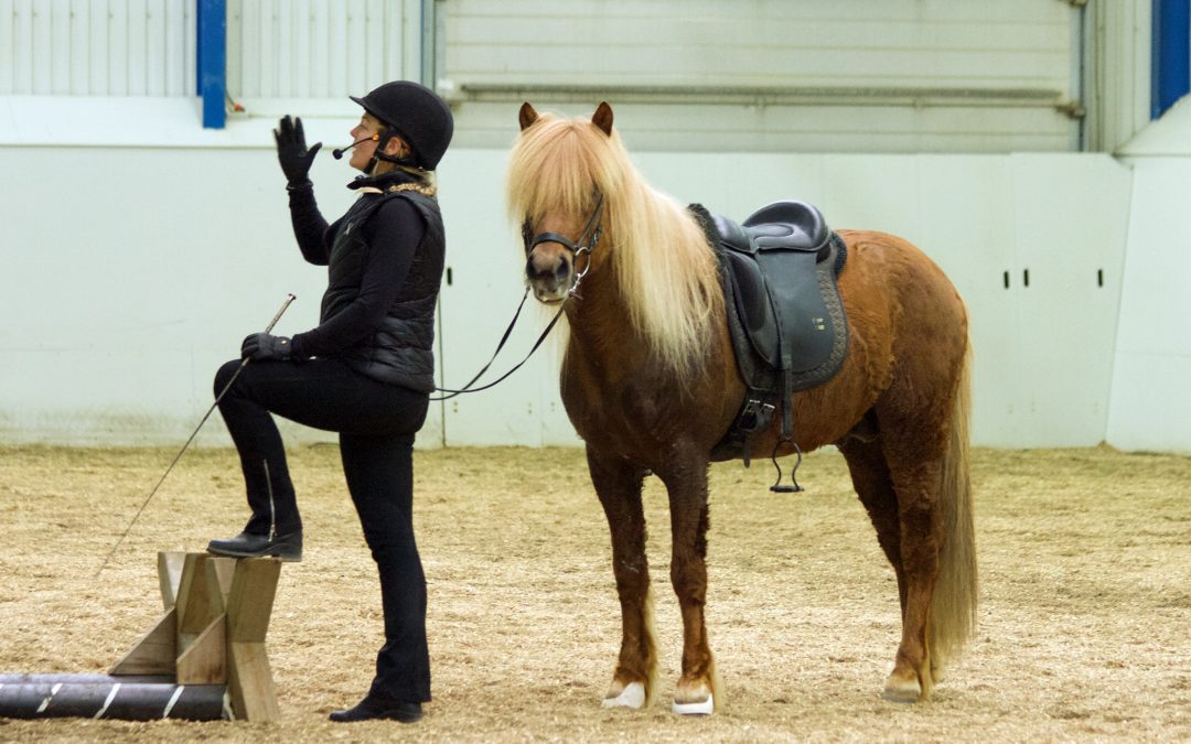 FEIF and LH Education Seminar in Iceland, September 2026