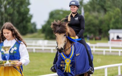 Update on the SIF project for continued work on horse welfare in competition environments