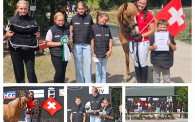 “Fair Comes First” – A Youth Initiative by Islandpferdefreunde Söhre-Kaufunger Wald e.V.