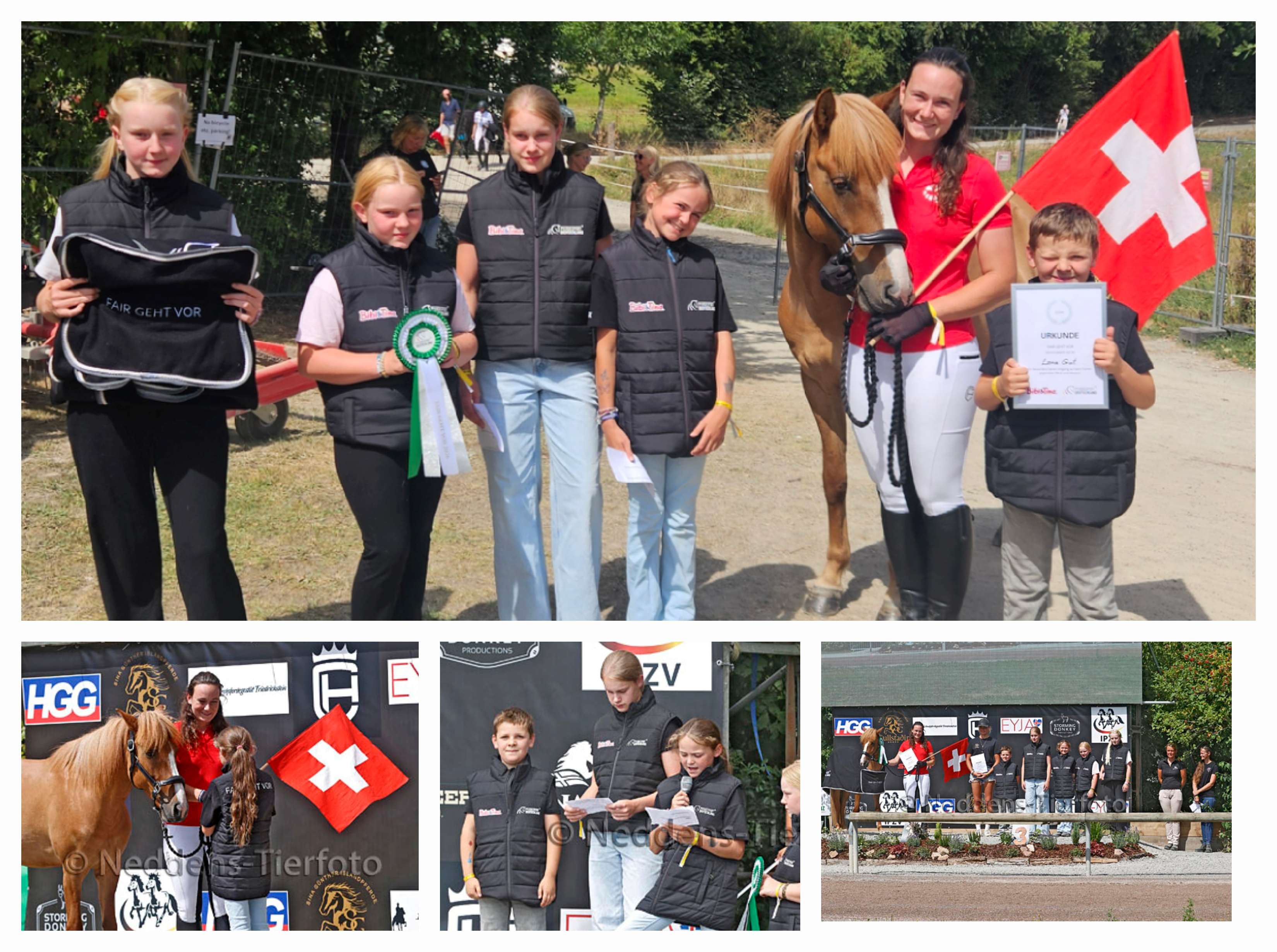 “Fair Comes First” – A Youth Initiative by Islandpferdefreunde Söhre-Kaufunger Wald e.V.